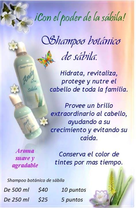 Shampoo de sábila para toda la familia&nbsp;